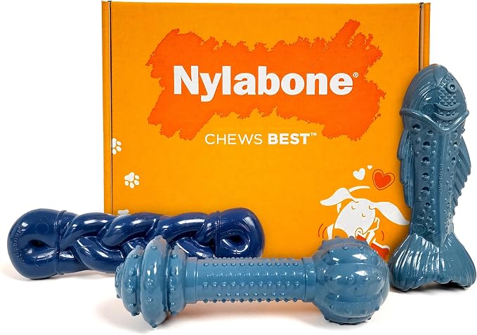 Nylabone Power Chew Love Our Oceans Bundle Dog Chew Toys, Medium, 3 Count | Bully stick, bacon, & salmon flavor, variety of shapes, durable chew toys, long lasting, for dogs up to 35 lbs