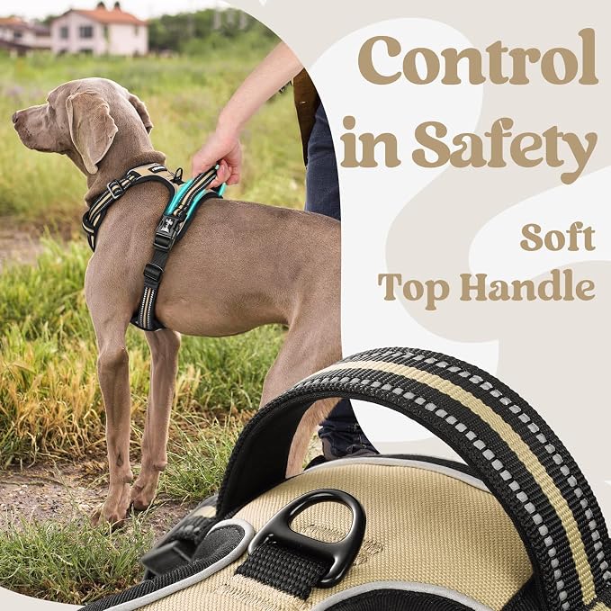 rabbitgoo Dog Harness for Large, Updated Easy On & Off with 3 Buckles | No Pull No Choke, Walking with 2 Clips and Handle, Adjustable Soft Reflective, Beige, Large