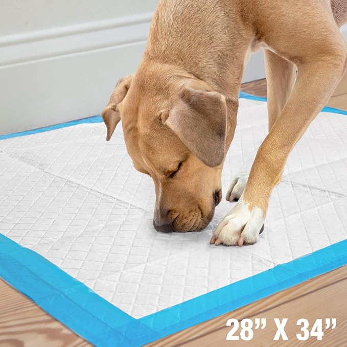 Four Paws Wee-Wee Superior Performance Pee Pads for Dogs with Runoff Barrier Edge Guard Protection, Puppy & Dog Potty Training Pads, Housebreaking Supplies, 28" x 34" (75 Count)