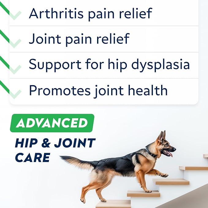 STRELLALAB Senior Advanced Glucosamine Joint Supplement for Dogs - Green Lipped Mussel & Collagen - Large Breeds - Hip & Joint Health - Bacon Flavor - 180 Chews