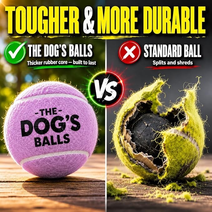 The Dog's Balls Dog Tennis Balls Tough 2.5" 12-Pack Purple Floats in Water | Our fetch balls combine non-abrasive felt exterior and a thicker rubber core Durable Dog Toy for Outdoor Play & Training