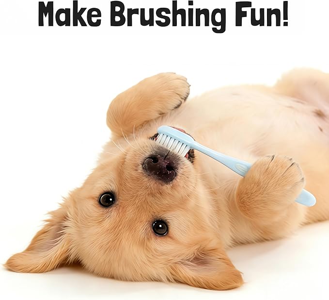 CGO Angled Soft Bristle Dog Toothbrush for Large Breeds – Ergonomic Curved Handle, Deep Cleaning for Medium & Large Dogs’ Teeth & Gum Line – Not for Puppies or Small Breeds