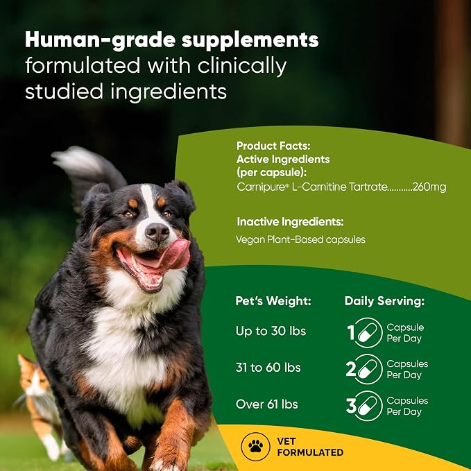 Healthy Weight & Energy Metabolism Supplement for Dogs & Cats