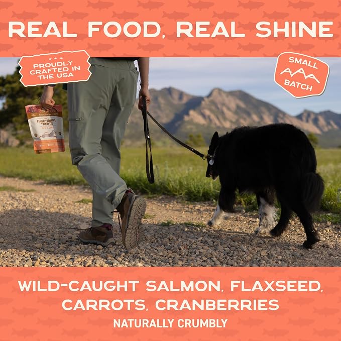 Smart Cookie All Natural Dog Treats - Healthy Skin & Coat Salmon Dog Treats - Ideal for Sensitive Stomachs or Itchy, Allergic, Dry Skin - Dehydrated, Crunchy, Human-Grade, Made in USA - 8oz, Pack of 1