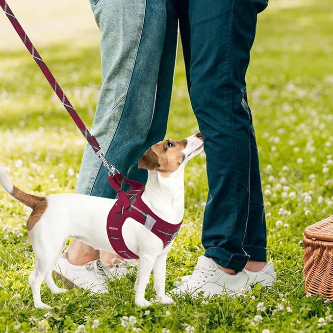 PUPTECK Adjustable Pet Harness Collar and Leash Set Step in for Small Dogs Puppy and Cats Outdoor Training and Running, Soft Mesh Padded Reflective Vest Harness,XXS,New Red