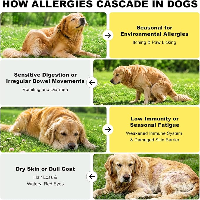 Dog Allergy Chews, Dog multivitamin Itching Skin Relief, Anti Itch,60 Chews