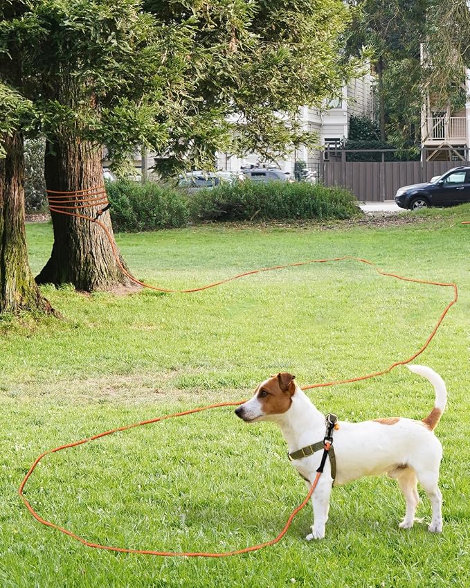 Taglory Long Dog Leash with Removable Padded Handle Tie Out, 15/30/50/66FT Heavy Duty Training Leash with 2 Swivel Hooks for Large Medium Small Dogs Camping, Hiking, Walking, Backyard, Orange, 15FT