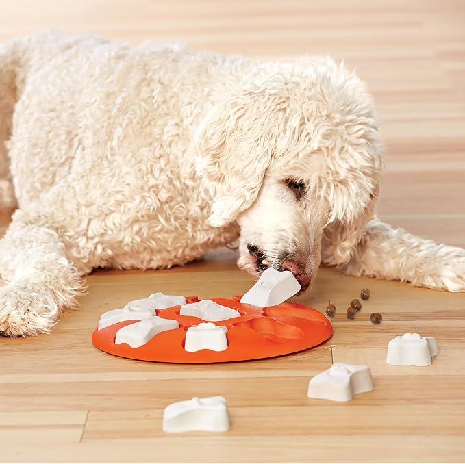 Outward Hound Nina Ottosson Dog Smart Dog Toy Treat Puzzle, Enrichment, 11"