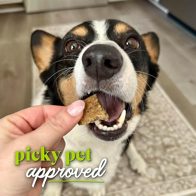 Honest to Goodness Protein Bites Turkey & Pumpkin Dog Jerky, 5.5 oz