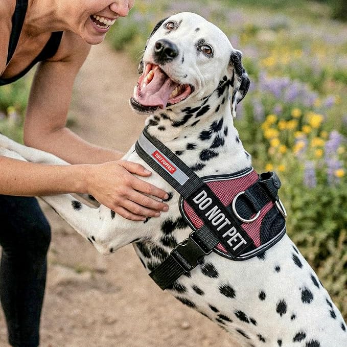 Tuff Pupper Fast Fit No Pull Dog Harness, Escape Proof, Reflective, Red