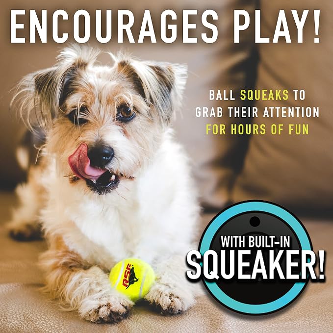 Franklin Sports Ready Set Fetch Mini Squeaker Tennis Ball - 12 Pack | Fun Noise-Making Feature, Tough + Durable Build, Great For Active Playtime, Ideal For Small Breed Pets