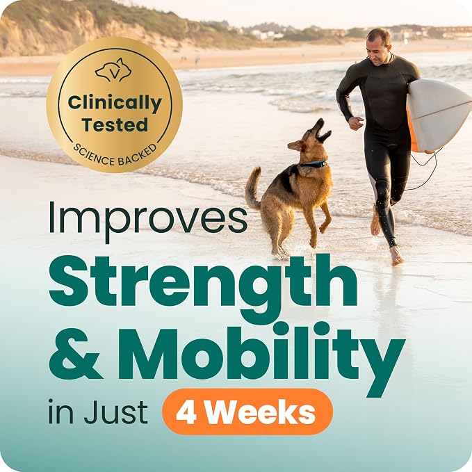 VetriScience Glycoflex 3 Clinically Proven Hip and Joint Supplement for Dogs - Maximum Strength Dog Supplement with Glucosamine, MSM, Green Lipped Mussel & DMG - 120 Count