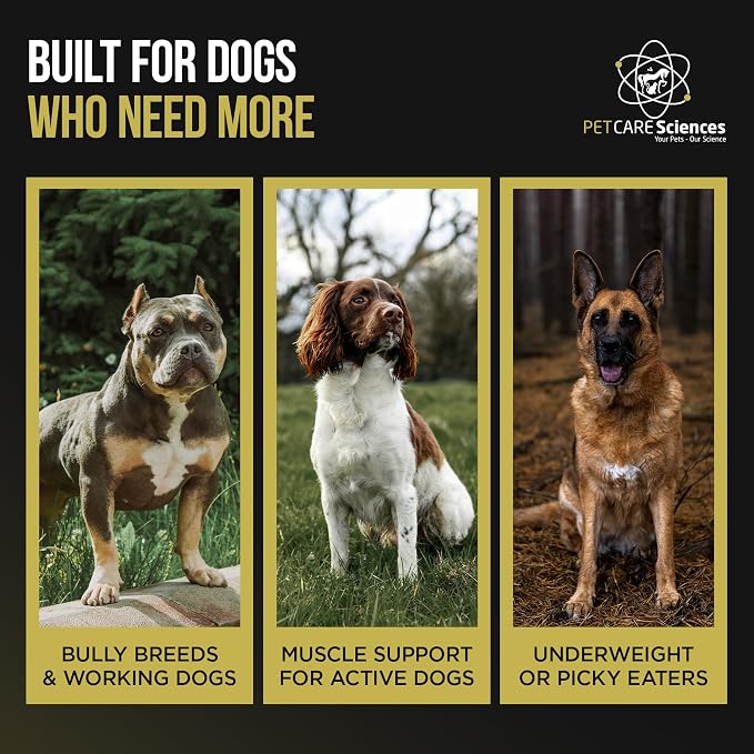 Dog Weight Gainer (604 Servings) - High Calorie Supplement for Dogs - Weight Gain Supplements for Dogs - Dog Protein Powder & Muscle Builder - Made in USA (2-Pack of 5 Pounds).