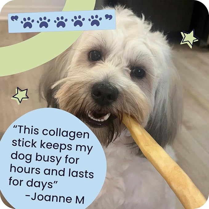 Pawstruck Natural Large 10-13” Beef Collagen Braids for Dogs – Long-Lasting Rawhide & Bully Stick Alternative, with Chondroitin & Glucosamine – 3 Pack