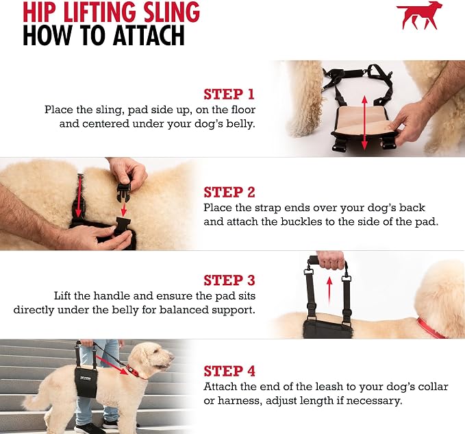 Tuff Pupper Dog Sling Hip Harness | Rear Lift Support for Senior & Injured Dogs | Adjustable Mobility Aid | Strong Padded Handle | Comfortable Design | Hip & Hind Leg Assistance (Tall, Male)
