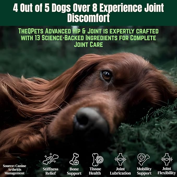 Dog Joint Supplement Chews - Glucosamine 600mg MSM 300mg Chondroitin Turmeric Green Lipped Mussel Collagen - Hip and Joint Chews for Senior & Active Dogs All Breeds - 90 Soft Chews Chicken