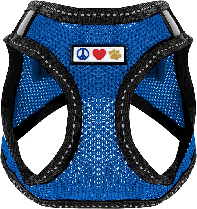 Pawtitas Dog Vest Harness Made with Breathable Air Mesh | All Weather Vest Harness for Extra Small Puppies and Large Cats with Quick-Release Buckle - Extra Small Blue Mesh Dog Harness