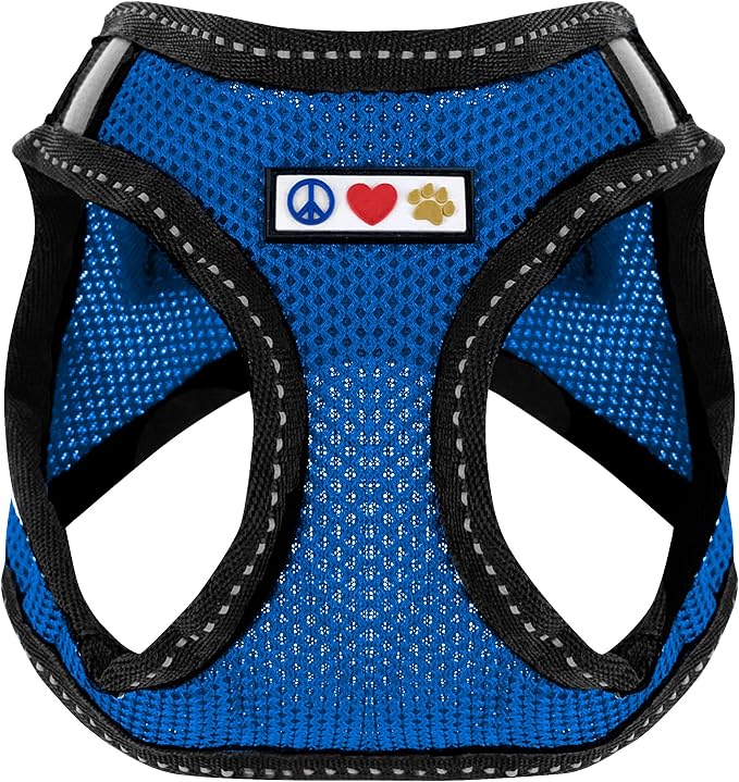 Pawtitas Dog Vest Harness Made with Breathable Air Mesh | All Weather Vest Harness for Small Puppies and Large Cats with Quick-Release Buckle - Small Blue Mesh Dog Harness