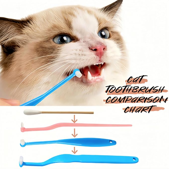 CGO Kitten Toothbrush Kit - 3 Piece Cat and Kitten Tooth Brushing Set with Ultra Soft Bristles, Dental Care for Small Cats, Kittens & Puppies