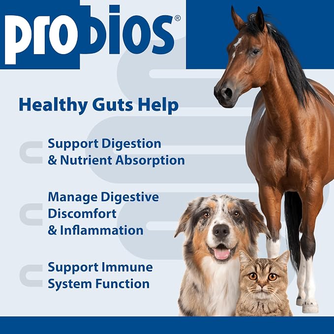 Probios Digestive Support Powder for Pets, 240 g, 2-Pack