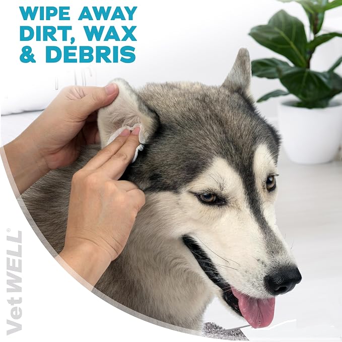 EarWELL by VetWELL Dog Ear Wipes, 100 Count