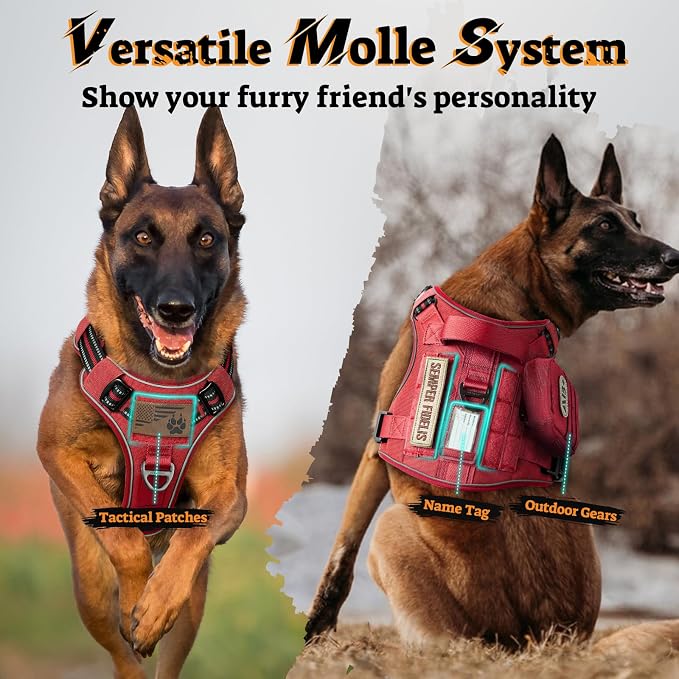 rabbitgoo Tactical Dog Harness for Large Dogs, No Pull Service Pet Vest | Military Molle System & Easy Control Handle, Adjustable and Reflective for Walking and Training, Red, Large