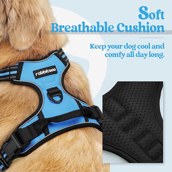 rabbitgoo Dog Harness, No Pull for Large Dogs with 2 Leash Clips, Pet Vest | No Choke with Handle, Adjustable Soft Padded, Reflective, Easy Control for Walking, Blue, X-Large