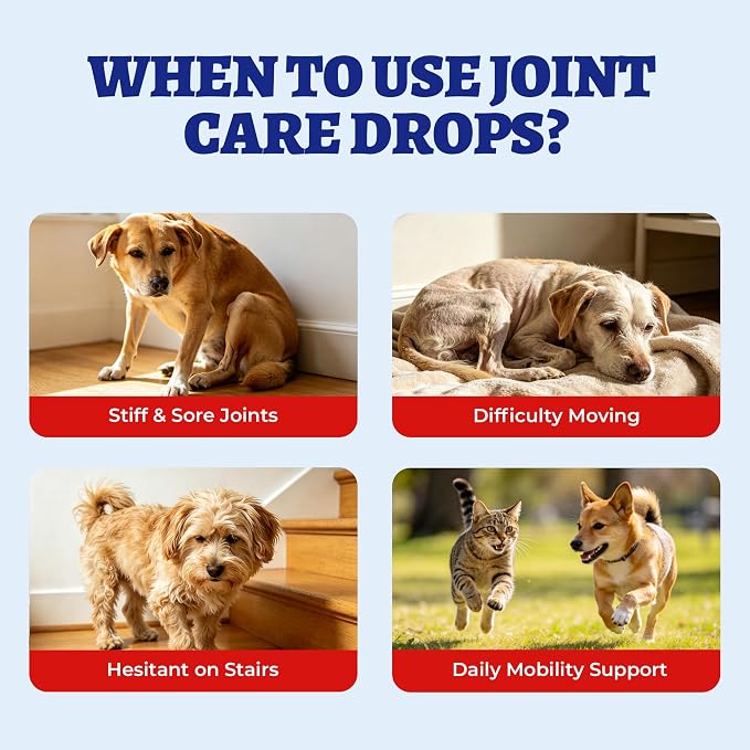 Wellix 4 oz Joint Supplement Drops for Dogs & Cats - Mild Turmeric Formula