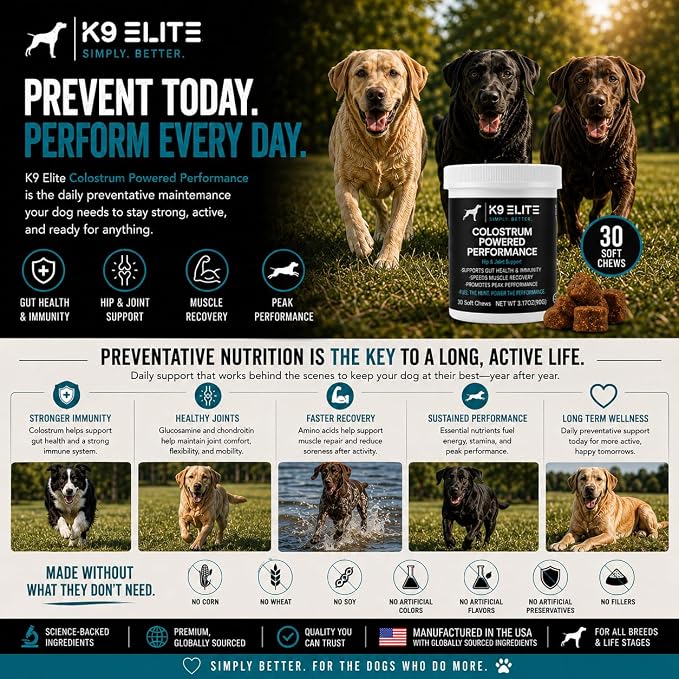 Hip & Joint Supplement for Dogs – Glucosamine, Chondroitin, Green Lipped Mussel, Colostrum, Collagen & Omega-3 – Daily Joint, Mobility, Gut & Immune Support –