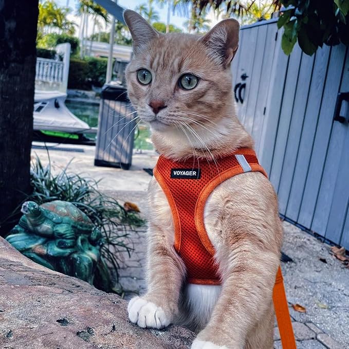 Voyager Step-in Pet Harness - All Weather Mesh, Adjustable Step in Harness for Cats and Dogs by Best Pet Supplies - 307S Orange, XXXS