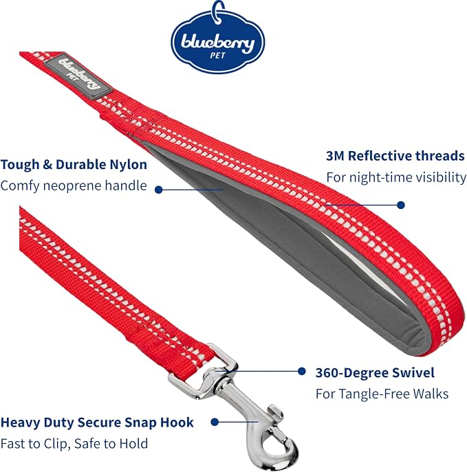Blueberry Pet 3M Reflective Pastel Color Dog Leash with Soft & Comfortable Handle, 5 ft x 3/4", Red, Medium, Leashes for Dogs