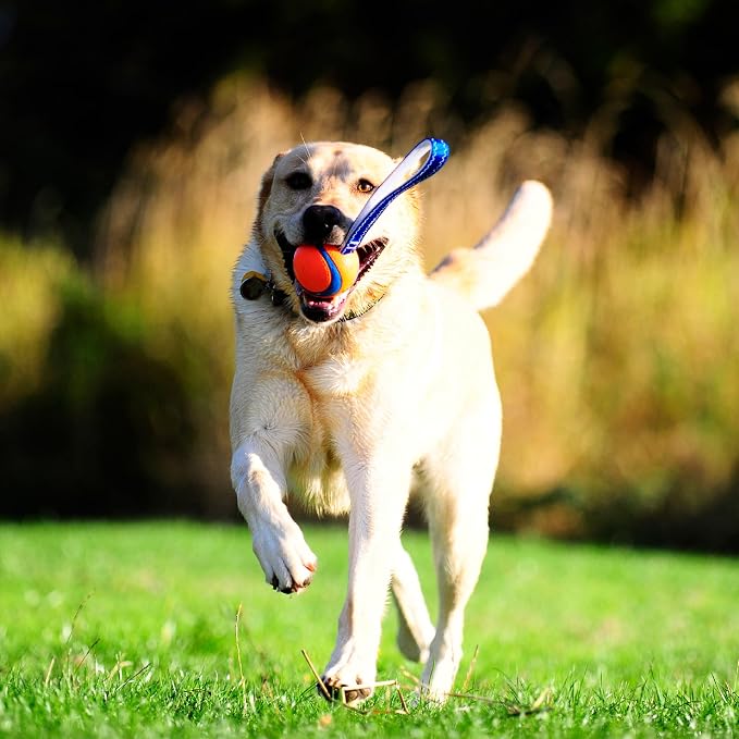 Chuckit! Ultra Tug Dog Toy, Medium, Fetch & Tug Ball for Dogs 20-60 Pounds | A Fun Toy for Interactive Play with Your Dog