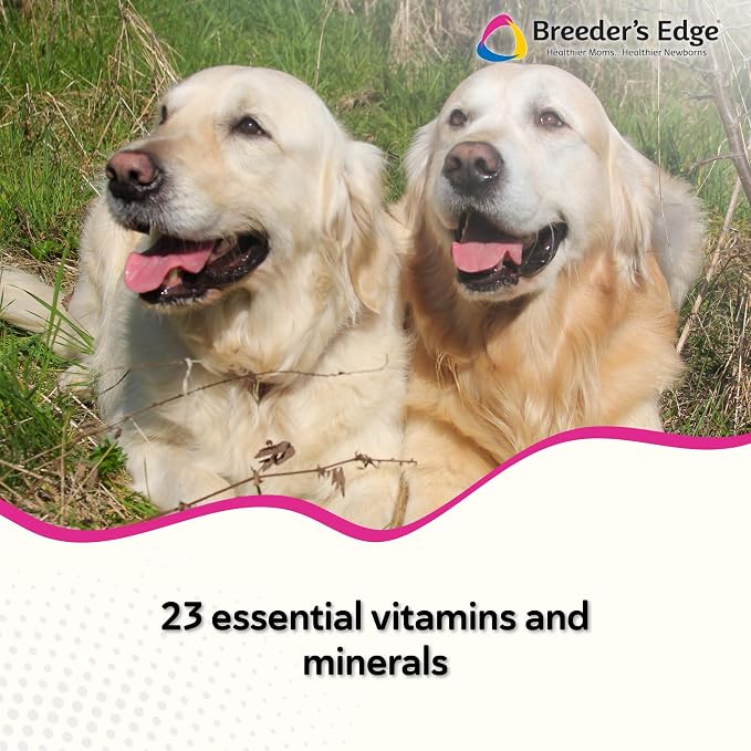 Breeder's Edge in Between for Her, for Breeding Med/Lg Dogs & Cats 360ct