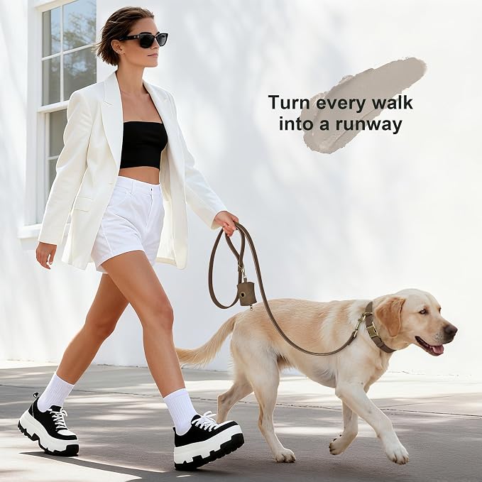 Didog Stylish Dog Poop Bag Holder for Leash, Easy-Pull and Colorful PU Leather Dog Poop Bag Dispenser with Metal Clip, Includes 1 Roll Pet Waste Bag for Daily Walking,Brown