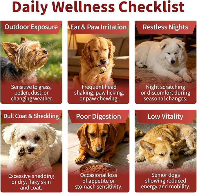 Dog Allergy Chews - Paw Licking, Seasonal Allergy & Itch Relief - Probiotics for Dogs Immune & Gut Health with Turkey Tail Mushroom, Pumpkin - Bacon Flavor - 90 Count