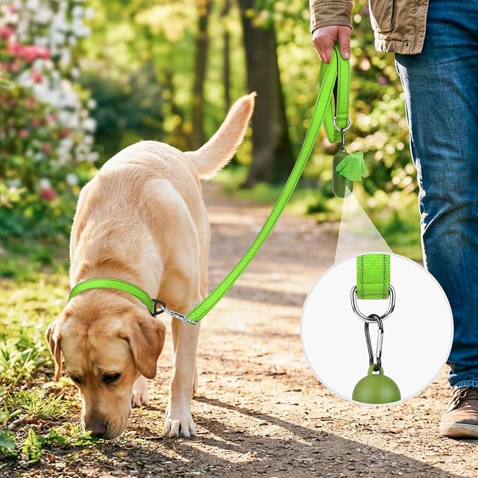 Joytale Reflective Dog Leash for Small Dogs, 5 FT x 3/4", Green | Heavy Duty Nylon Webbing, Padded Handle for Comfort, Visible at Night, for Walking & Training