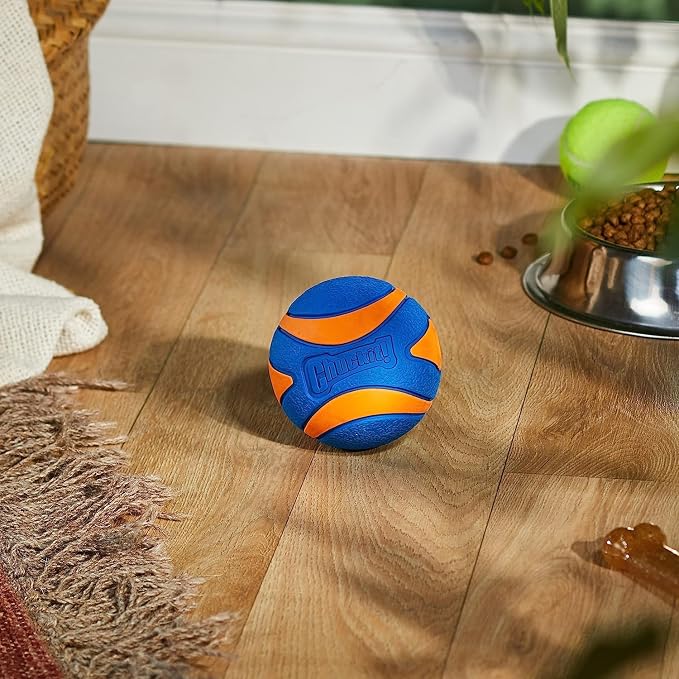Chuckit! Ultra Squeaker Dog Ball - Extra Large Bouncy and Squeaky Pet Toy for Dogs 100+ lbs - Floats on Water - Durable Rubber - 3.5" Diameter - Size XL (Pack of 12)