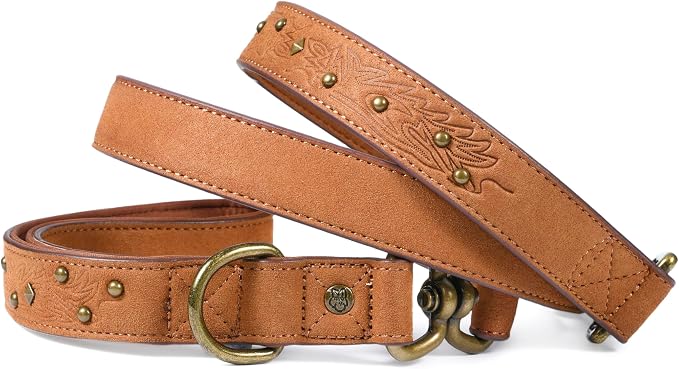 Blueberry Pet Premium Embossed Microfiber Leather Dog Leash with Decorative Studs in Saddle Brown
