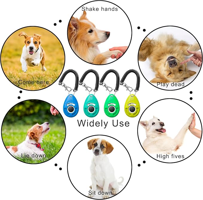 Pet Training Clicker with Wrist Strap, Aqua/Jade Green/Blue/Lime Green