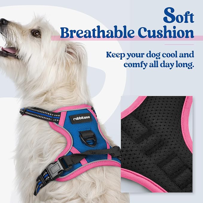 rabbitgoo Dog Harness, No Pull for Small Dogs with 2 Leash Clips, Pet Vest | No Choke with Handle, Adjustable Soft Padded, Reflective, Easy Control for Walking, Blue & Hot Pink, X-Small