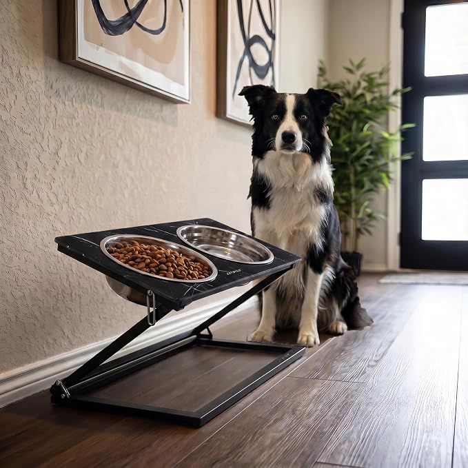 Elevated Dog Bowl Set: Height-Adjustable Stand with 2 Stainless Steel Food Bowls and a 20° Tilted Water Bowl—Suitable for Small, Medium, and Large Dogs (Faux Black Marble, Medium)