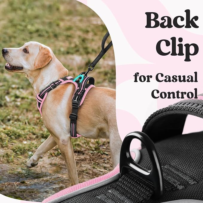 rabbitgoo Dog Harness Medium Sized, Updated Easy On & Off with 3 Buckles | No Pull No Choke, Walking with 2 Clips and Handle, Adjustable Soft Reflective, Black & Pink, Medium