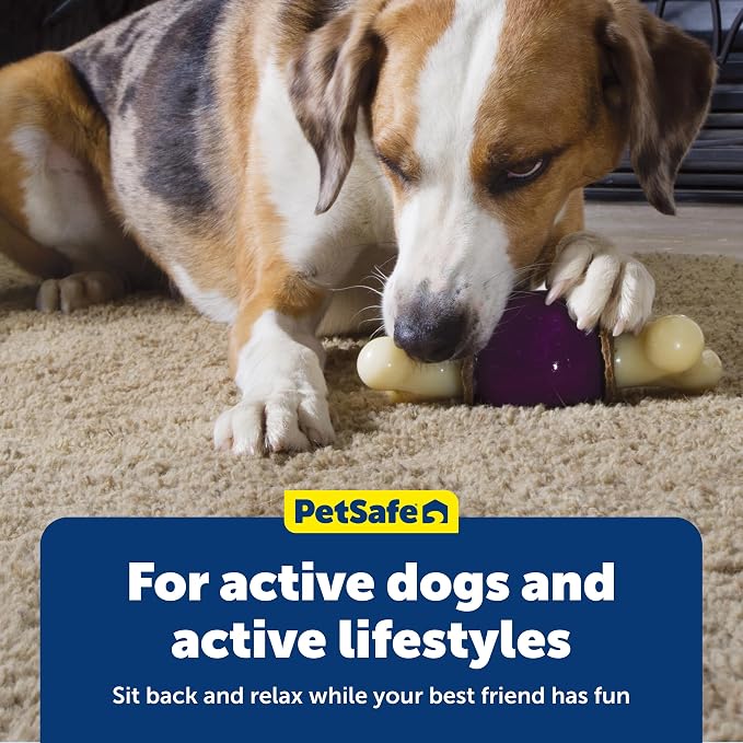 PetSafe Busy Buddy Bouncy Bone Treat Holding Dog Chew Toy, Small | Relieves Boredom and Anxiety, 6 Rawhide Treat Rings Included, Top-Rack Dishwasher Safe, Best for Dogs up to 10 Lb