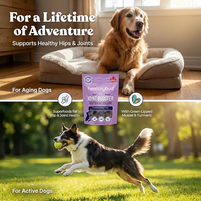 healthybud Hip & Joint Soft Chews for Dogs – Grain-Free Functional Dog Treats with Glucosamine, Chondroitin & Green Lipped Mussel – Daily Mobility Support – for All Ages & Breeds – 130 g (4.6 oz)