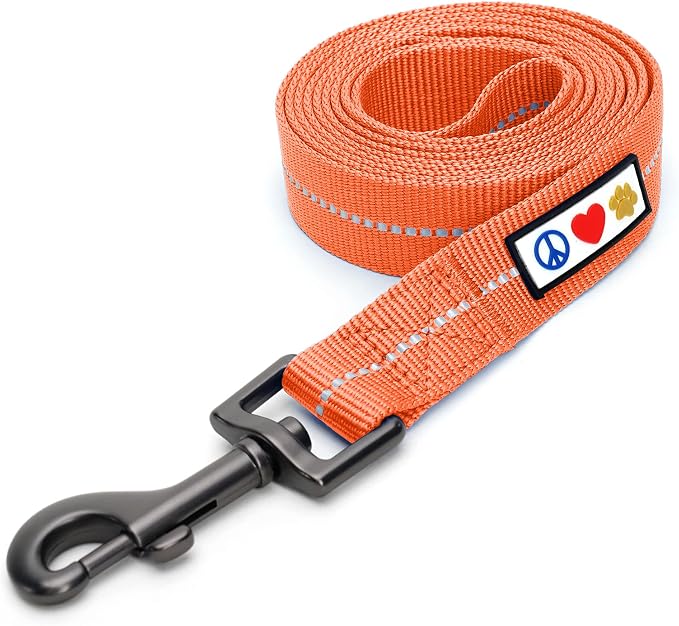 Pawtitas Coral Dog Leash 6 ft XS/S Reflective Durable Lightweight Recycled Lead for Small Dogs and Puppies