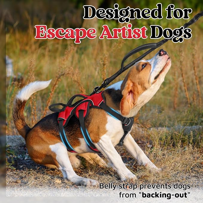 rabbitgoo Escape Proof Dog Harness for Small, No Pull with Lift Handle | No Escape, Full Soft Padded, Reflective Adjustable Vest, Leash Clip for Walking Hiking Training, Red, Small