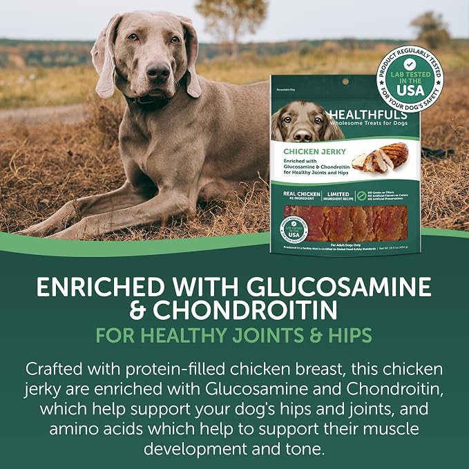 Healthfuls Chicken Jerky Dog Treats with Glucosamine & Chondroitin, 16oz