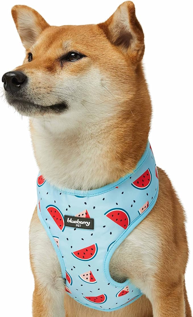 Blueberry Pet Summer Sparkle Dog Harness Vest, Adjustable Medium Size, Chest Girth 19.5" - 26", Blue, Zesty Fruit Watermelon Print Pet Harness