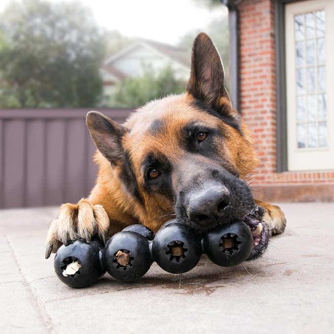 KONG Extreme Goodie Ribbon, Stuffable Rubber Chew Toy, for Large Dogs | Durable Stuffable Rubber Toy with Goodie Grippers That Hold Treats & Satisfy Natural Chewing Instincts