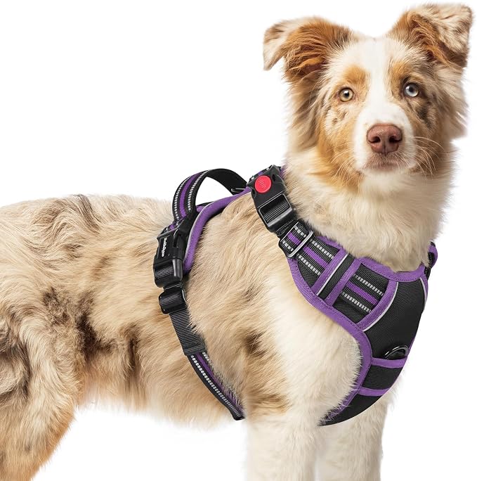 rabbitgoo Dog Harness Medium Sized, Updated Easy On & Off with 3 Buckles | No Pull No Choke, Walking with 2 Clips and Handle, Adjustable Soft Reflective, Black & Purple, Medium